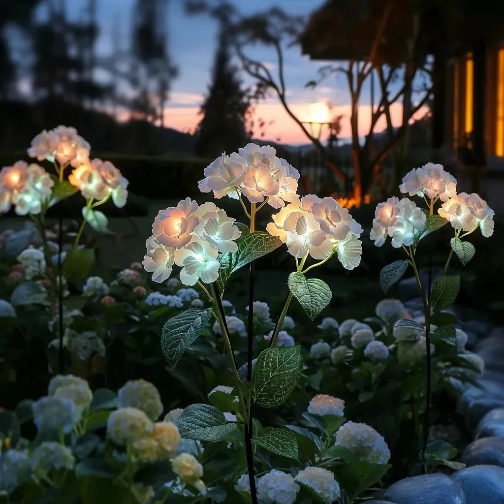 Ethere Hydrangea Glow