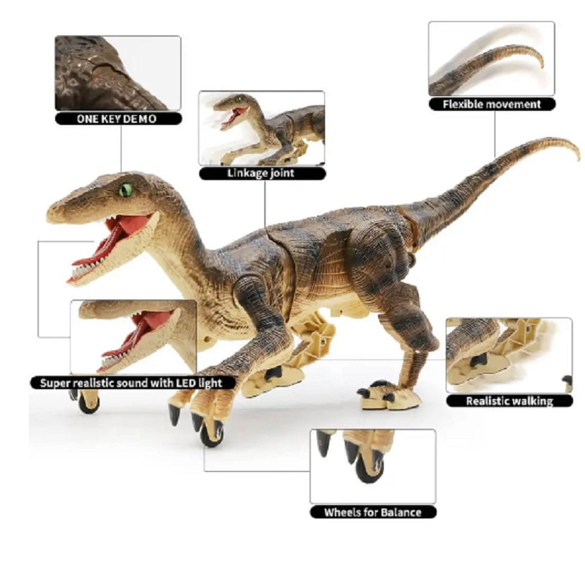 RC Plomb Dino