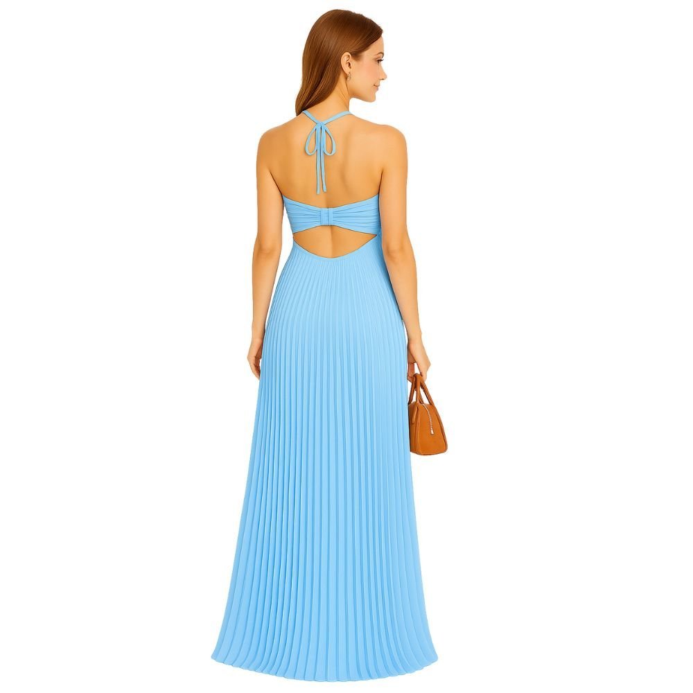 Kouvr Pleated Halter Maxi Dress Back View